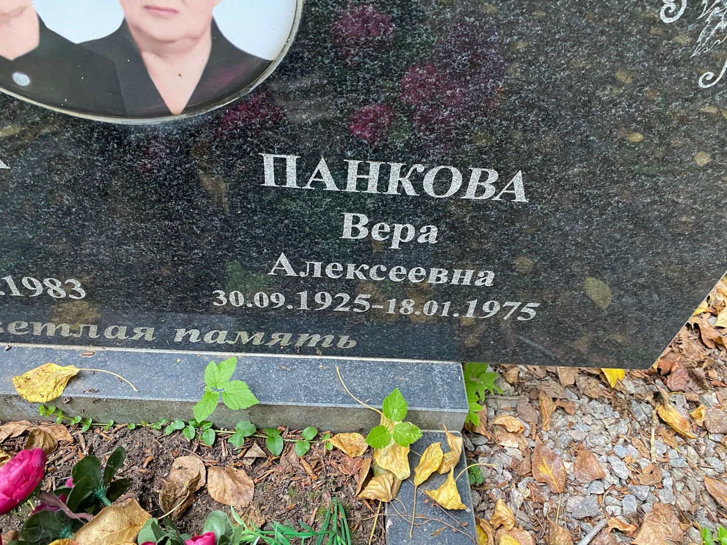 Панкова