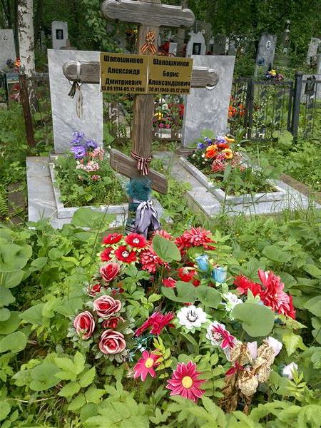 Шапошников Александр Дмитриевич