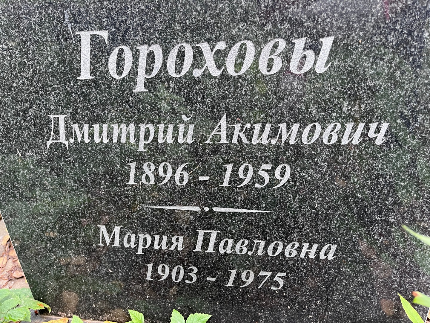 Горохов