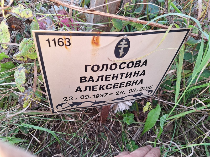 Голосова