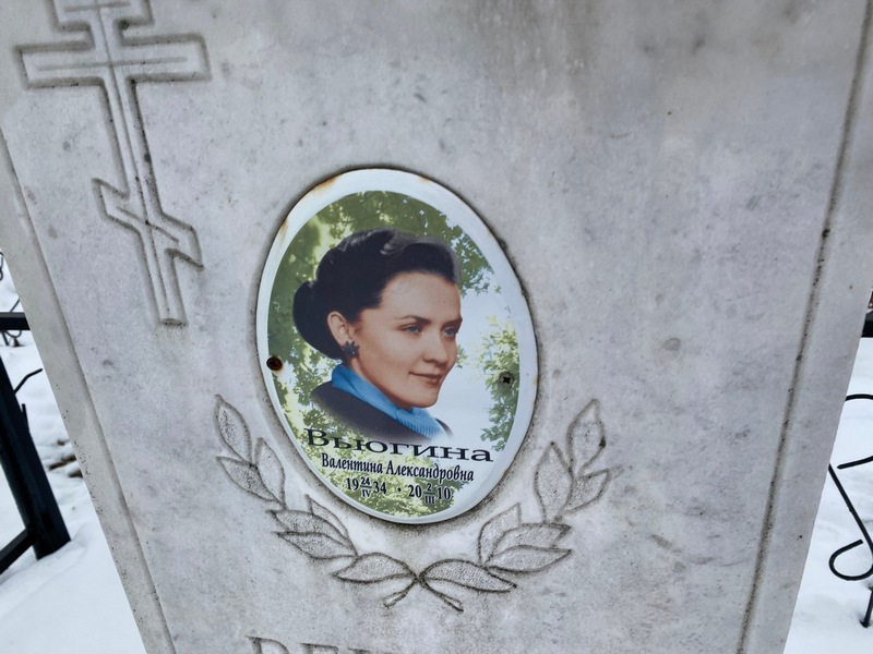 Вьюгина