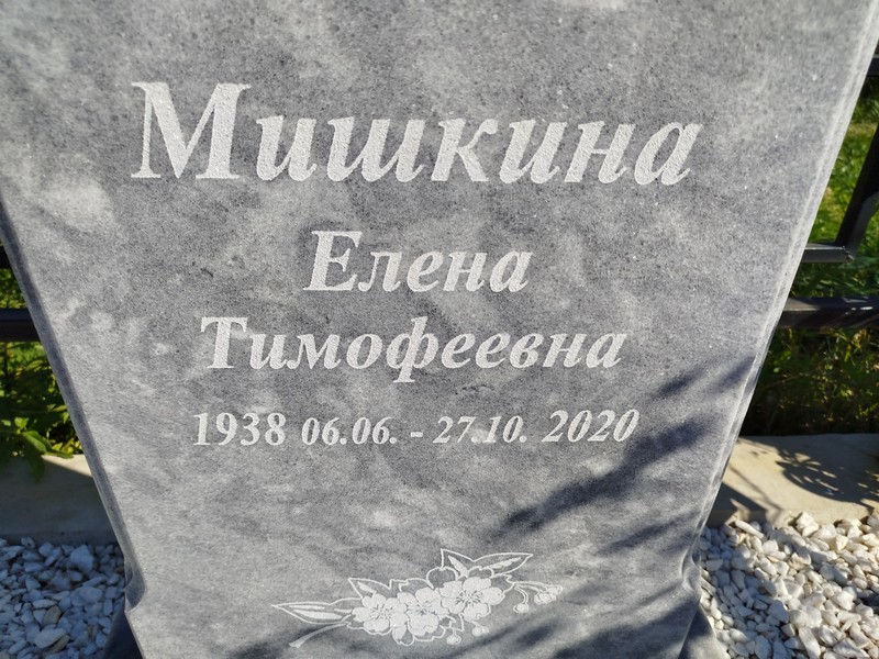 Мишкина