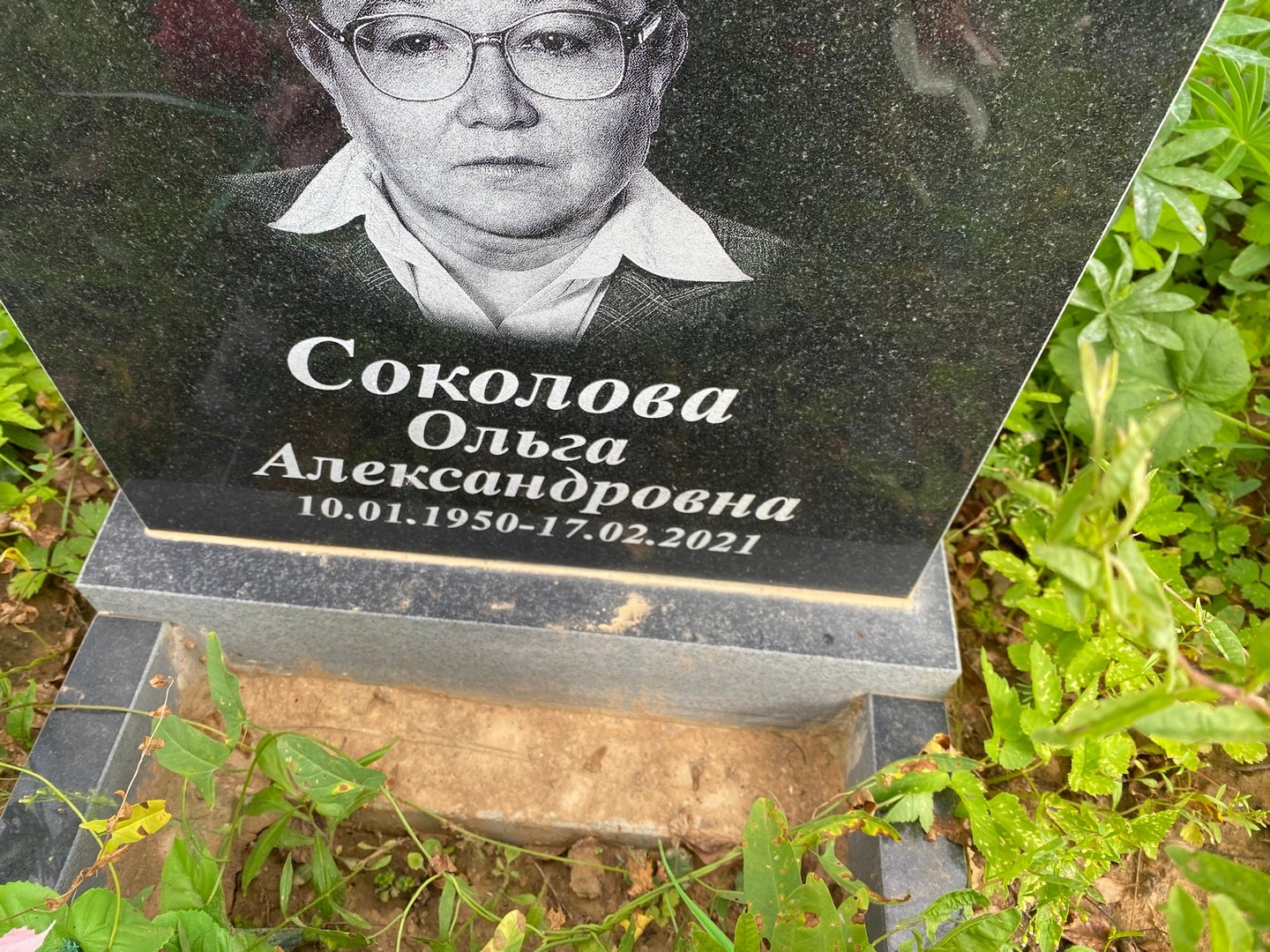 Соколова