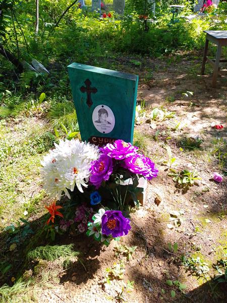 Сурин Николай Александрович