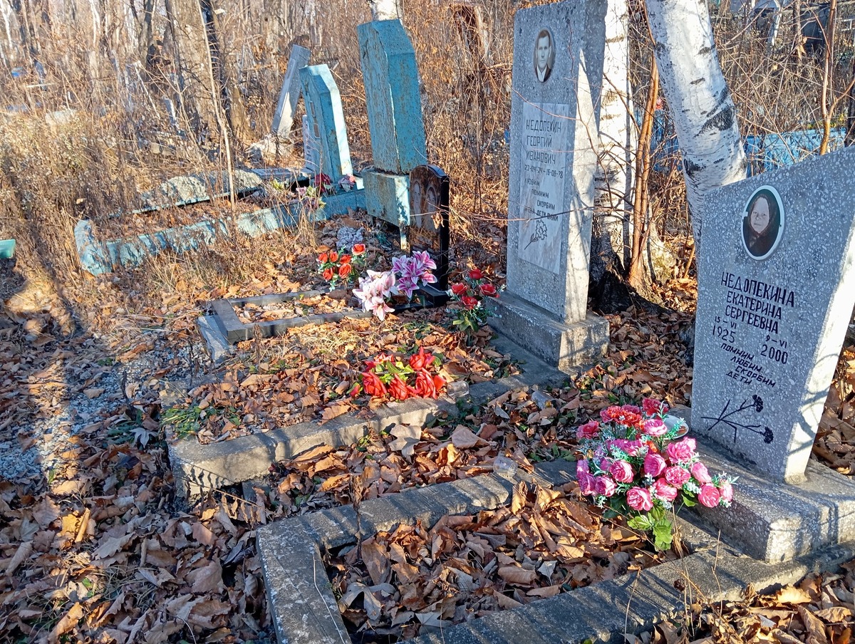 Недопекина Екатерина Сергеевна