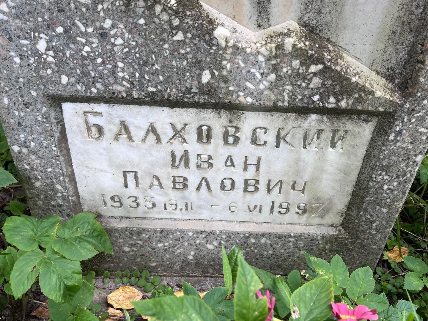 Баховский