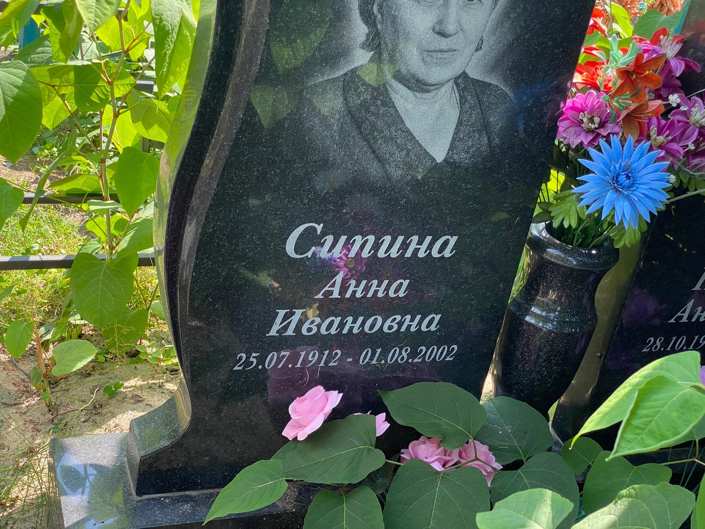 Сипина