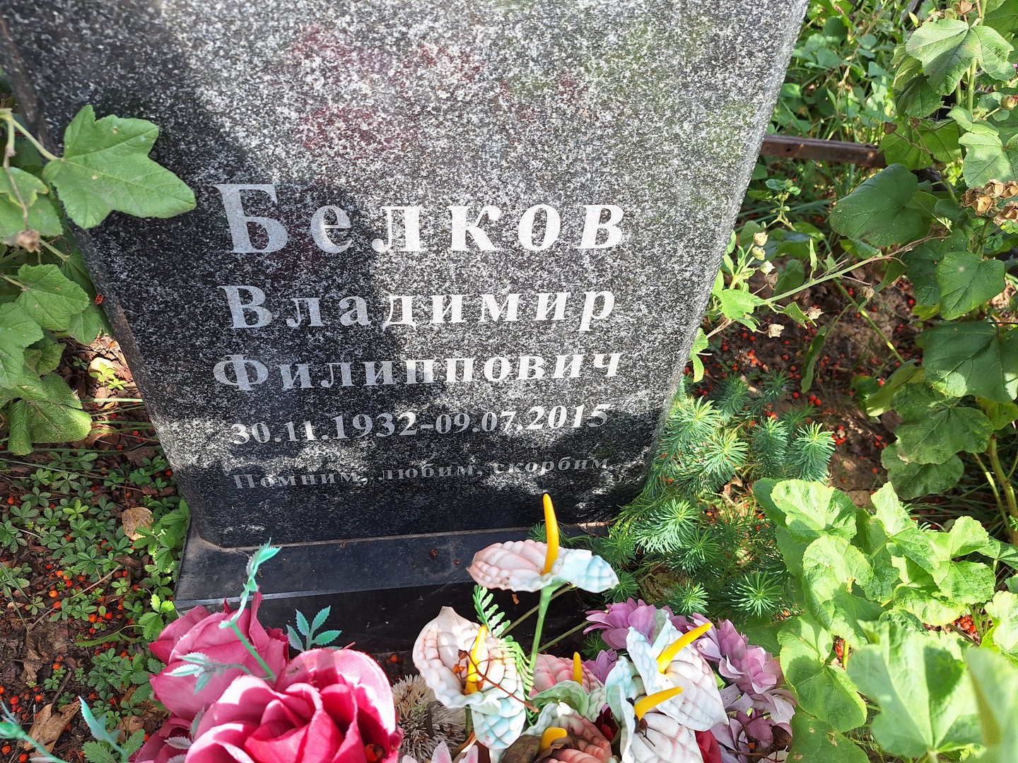 Белков