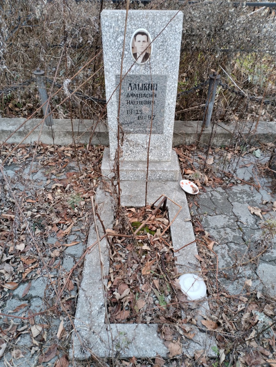 Лашкин Афанасий Наумович
