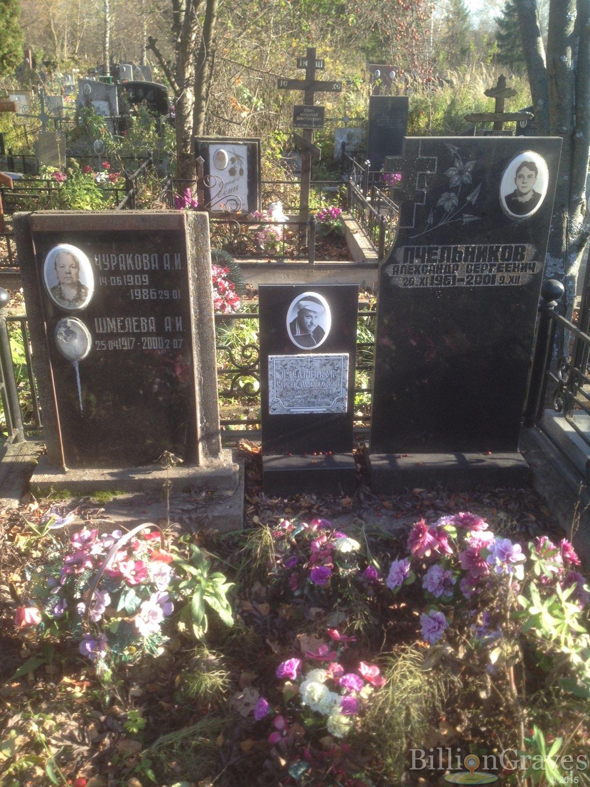 Пчельников Александр Сергеевич