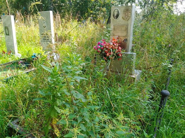 Харина Вера Петровна