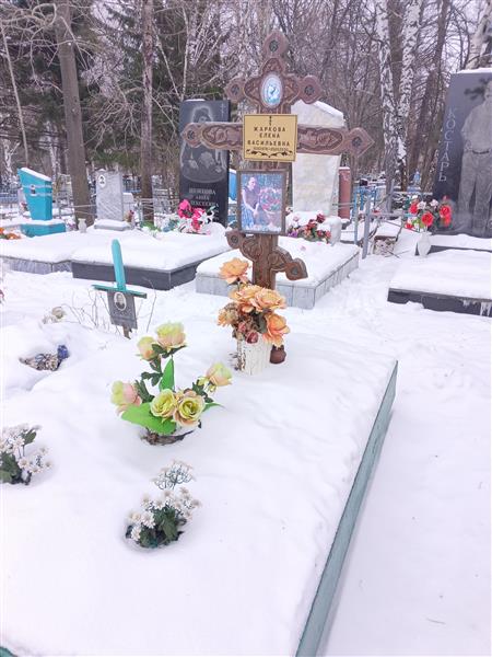 Жаркова Елена Васильевна