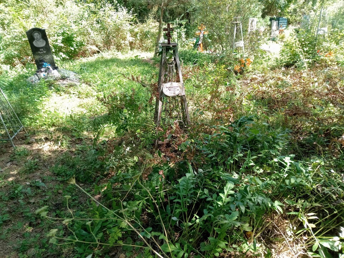 Загородникова Александра Юрьевна