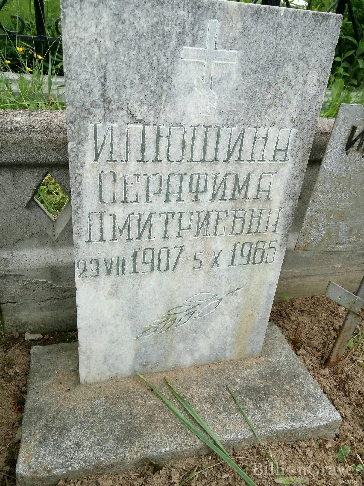Илюшина Серафима Дмитриевна