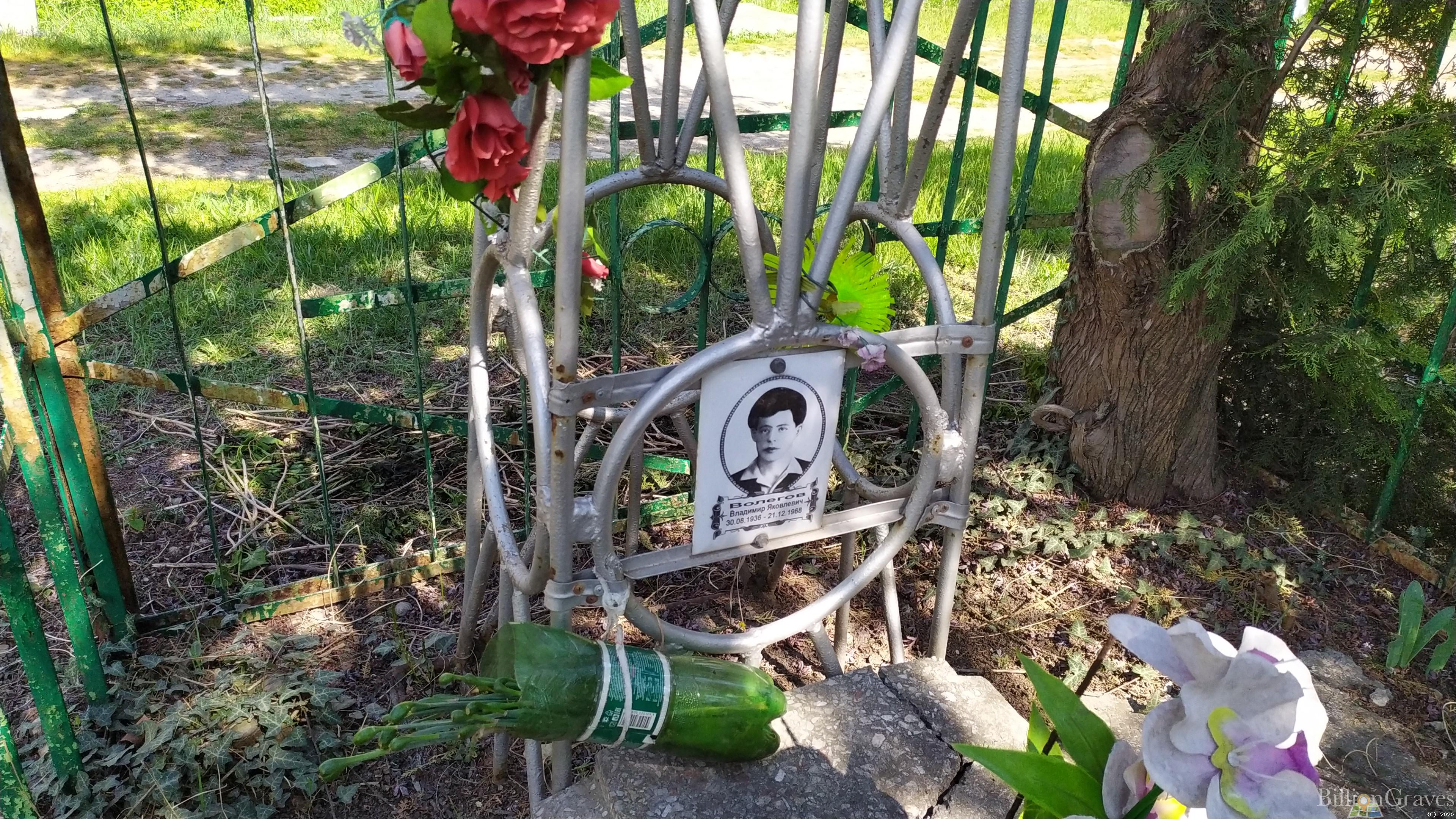 Волегов Владимир Яковлевич