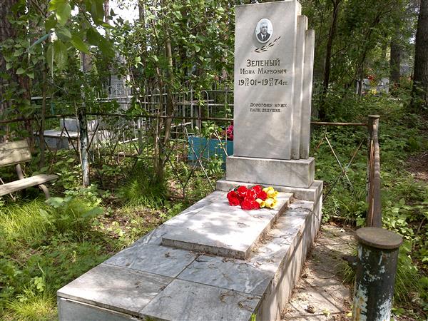 Зеленый Иона Маркович