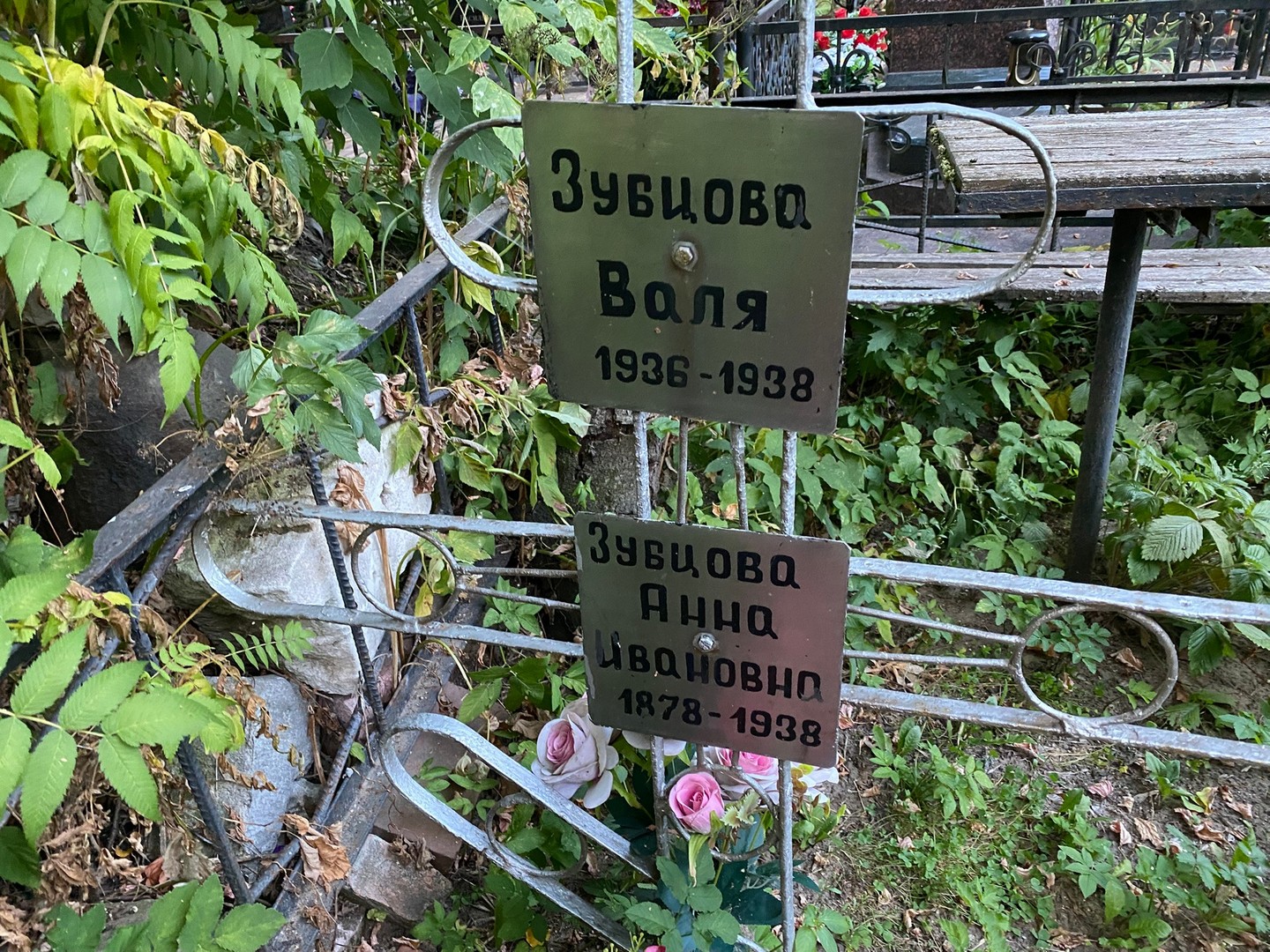 Зубцова Зубцова