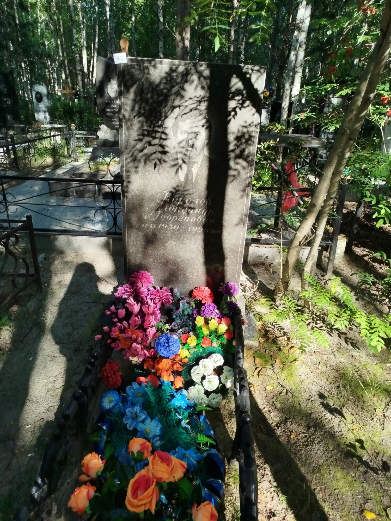 Королев Александр Георгиевич