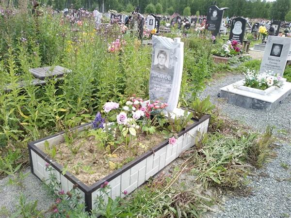 Дронов Александр Николаевич