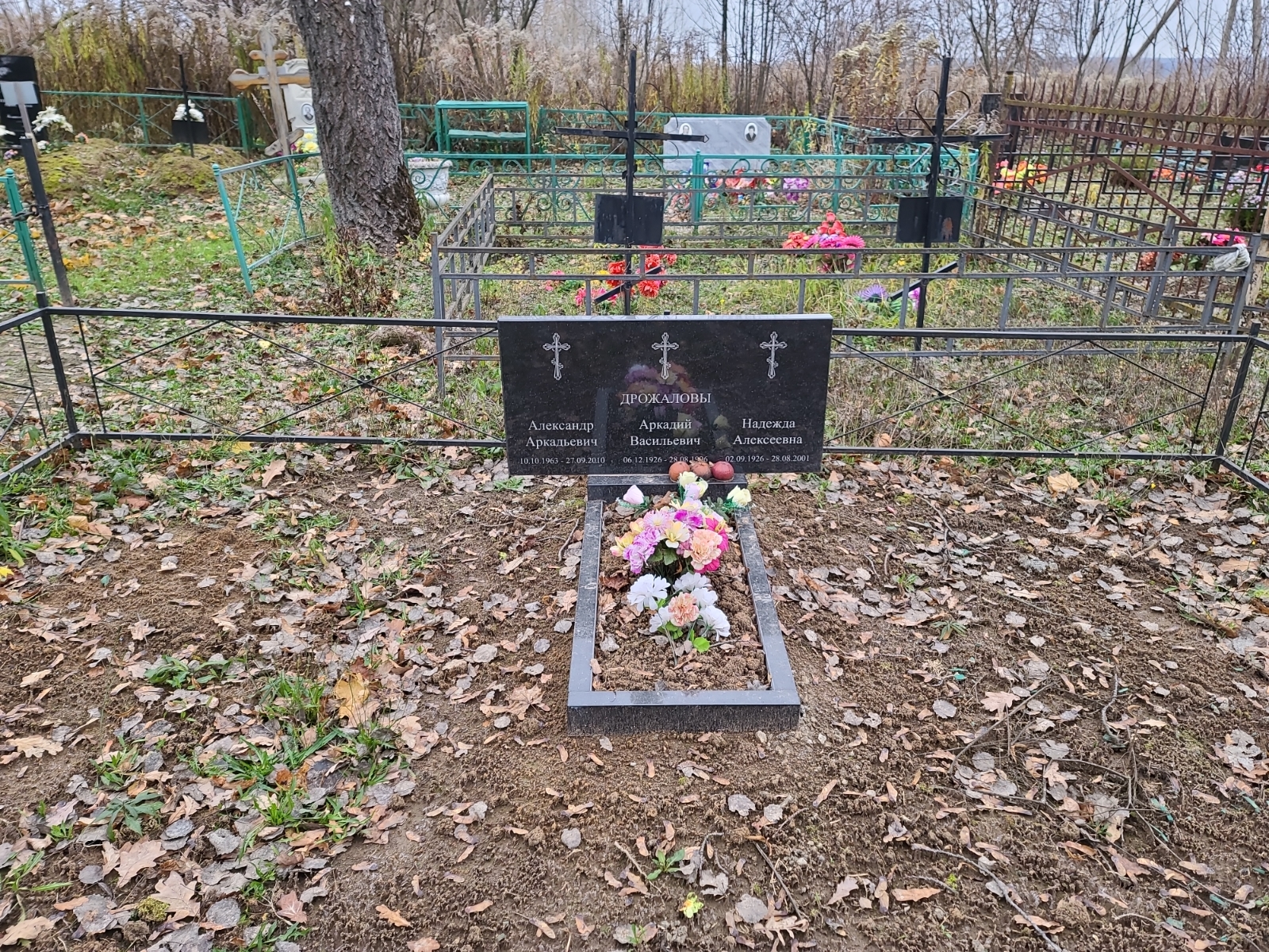 Дрожалова Надежда Алексеевна