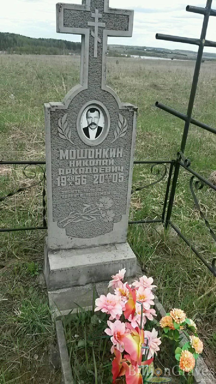 мошонкин николай аркадьевич