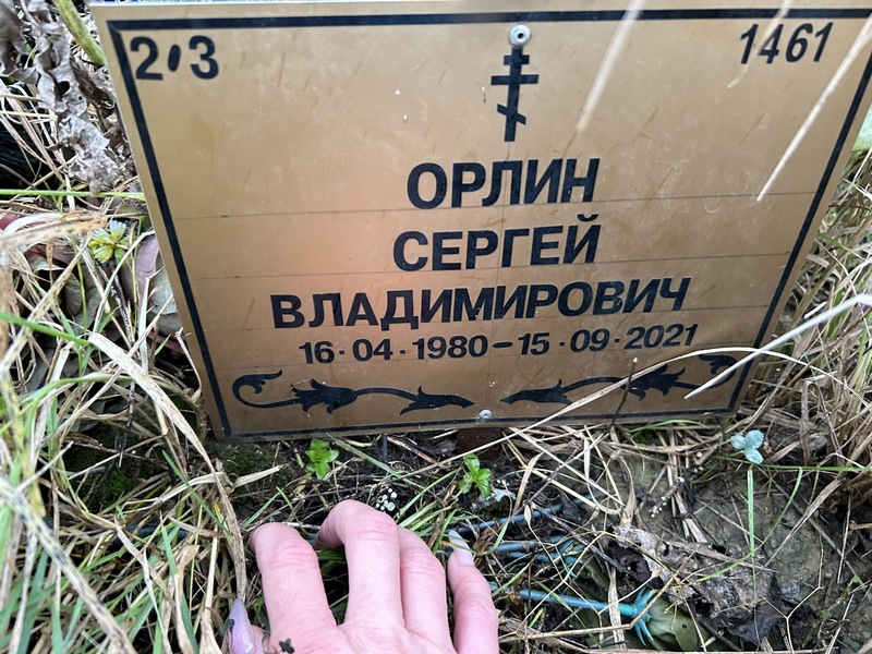 Орлин