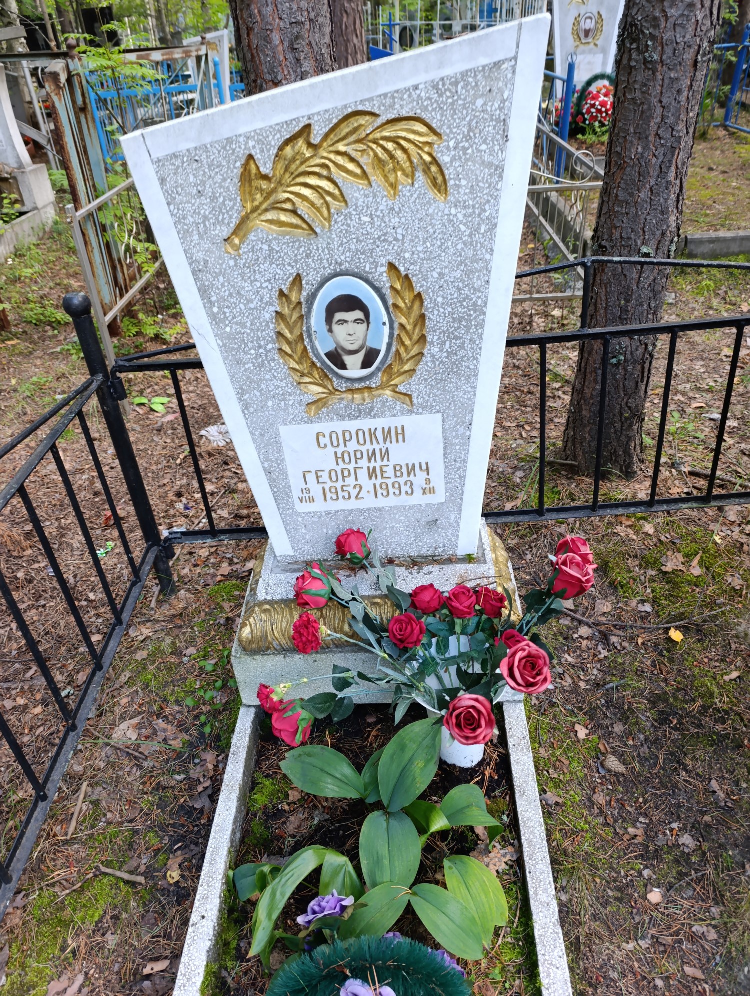 Сорокин Юрий Георгиевич
