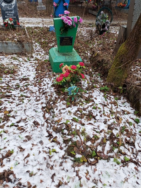 Савин Дмитрий Степанович