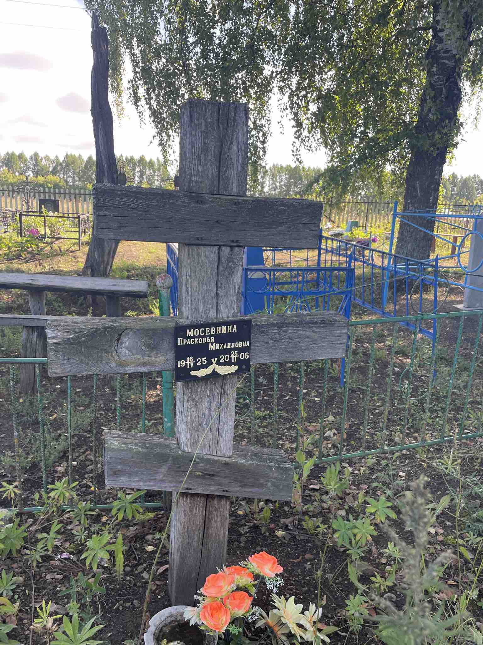 Мосевнина Прасковья Михаиловна