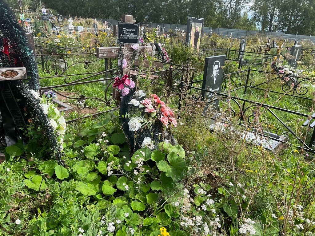 Шоронова Галина Александровна