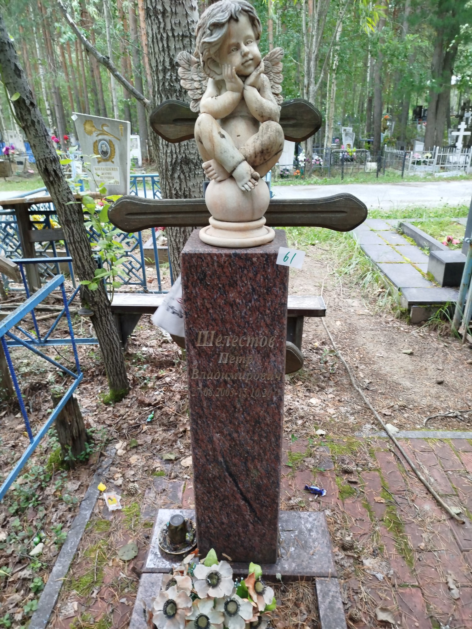 Шелестов Петр Владимирович