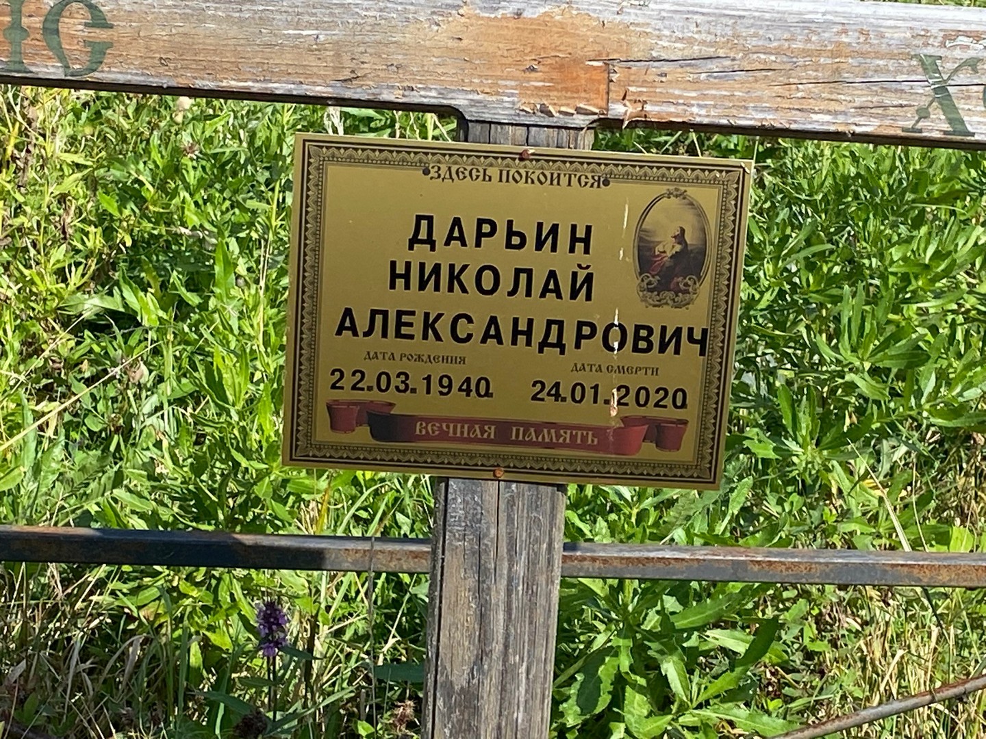 Дарьин