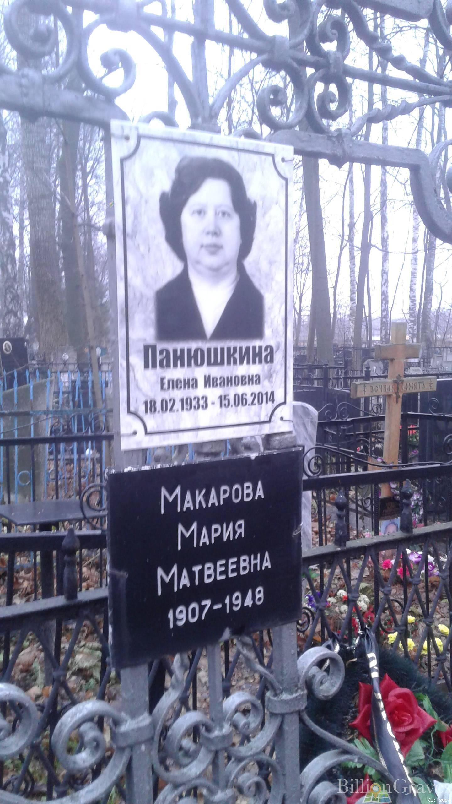 Панюшкина Елена Ивановна