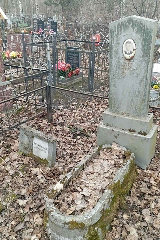Антонова Д. И.