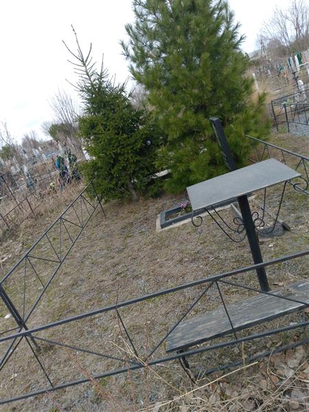 Звягинцев Василий Степанович
