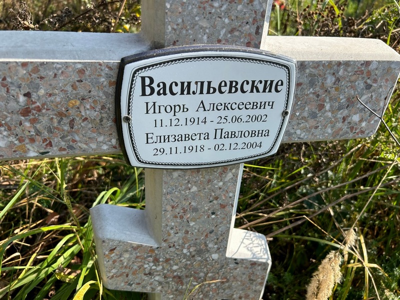 Васильевский