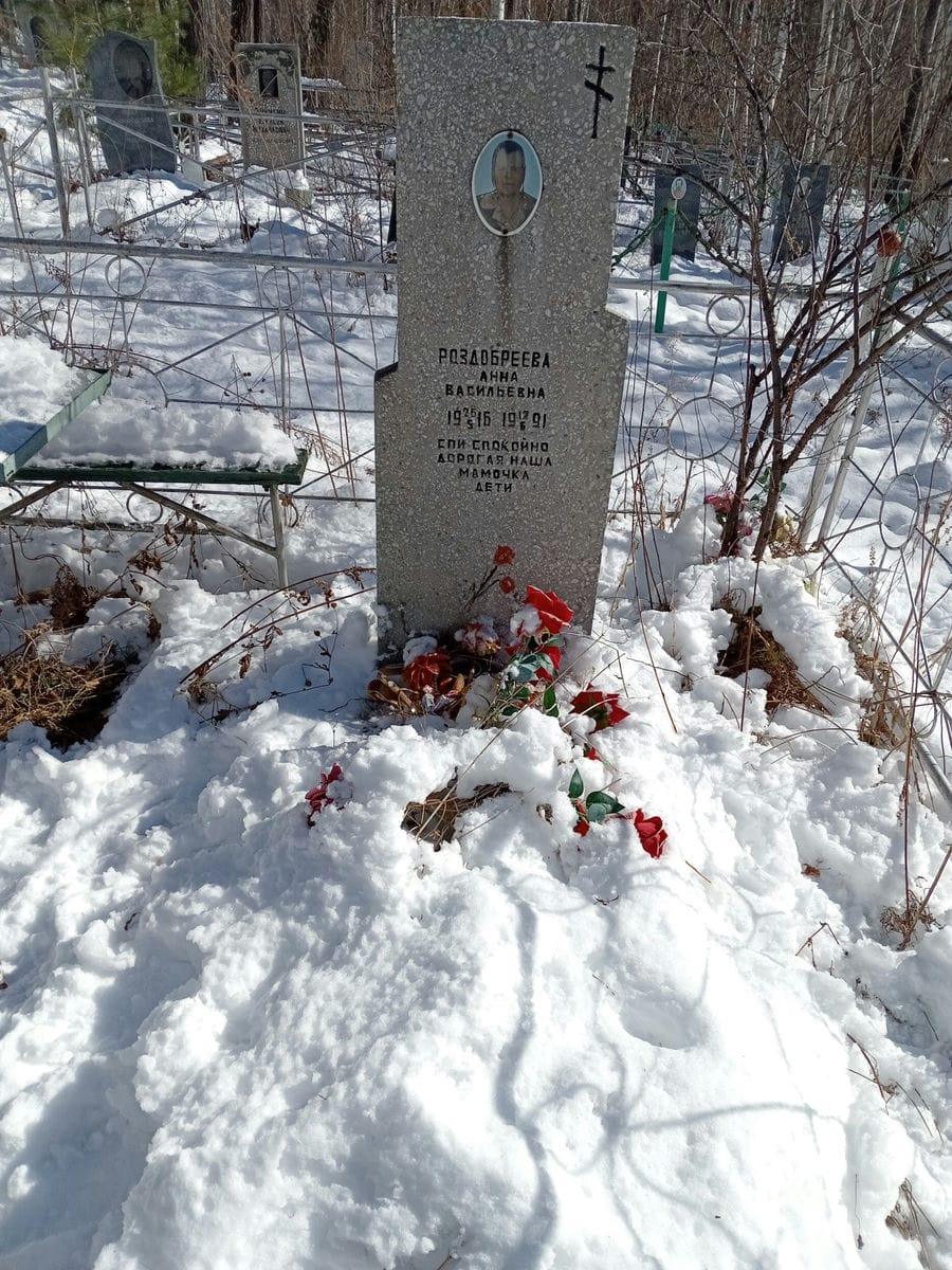 Раздобреева Анна Васильевна