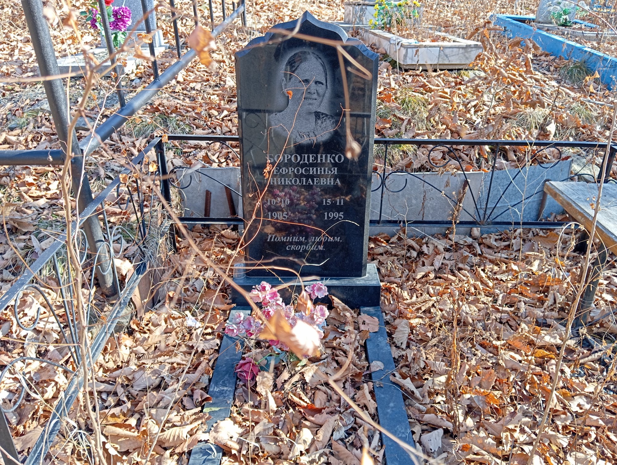 Бороденко Ефросинья Николаевна