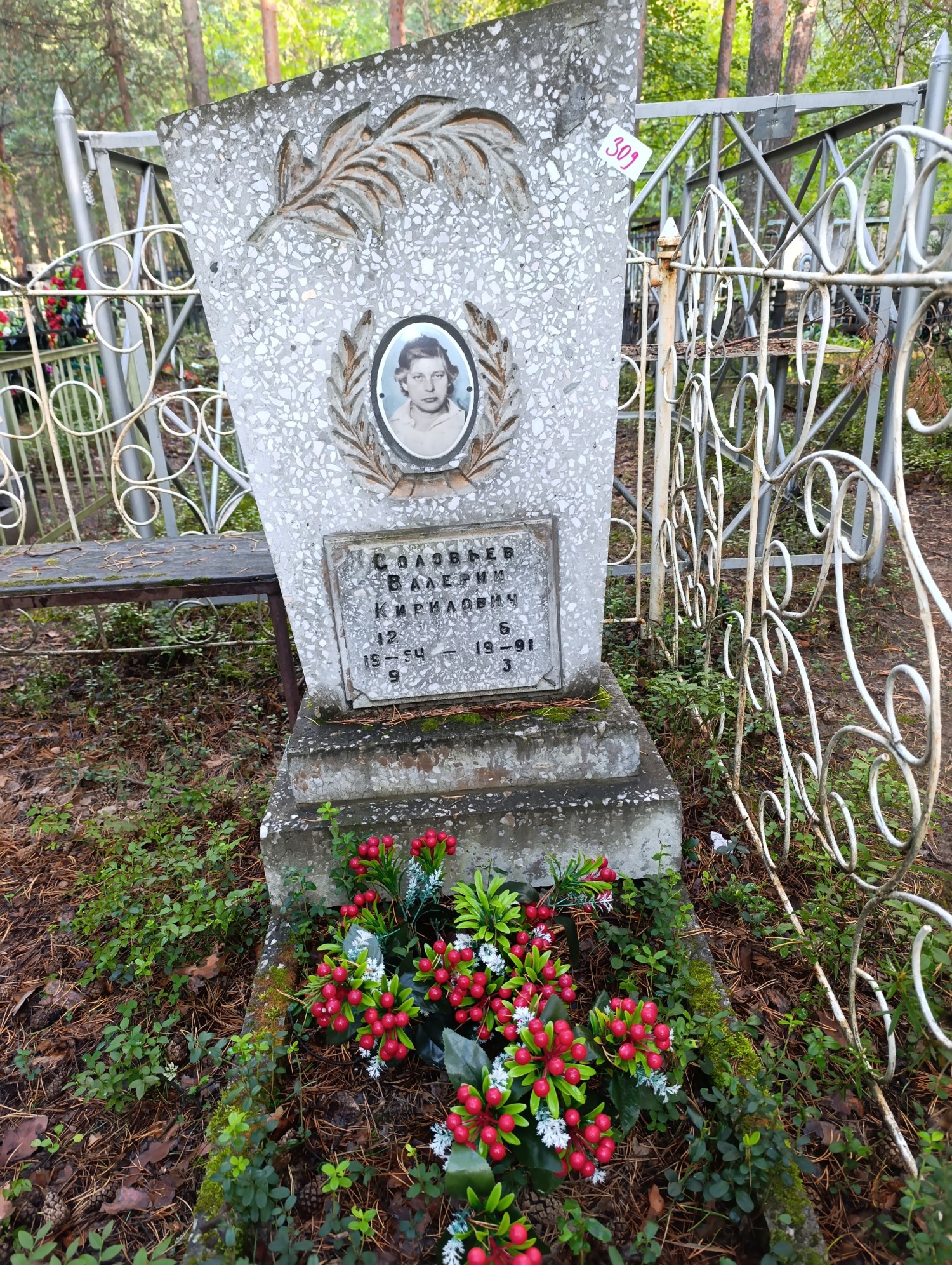 Соловьев Валерий Кириллович