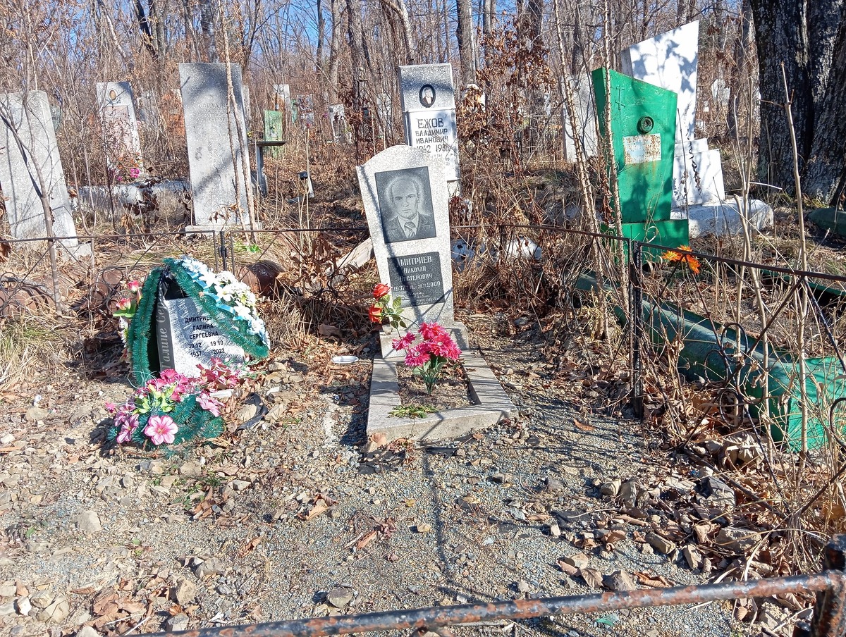 Дмитриев Николай Нестерович