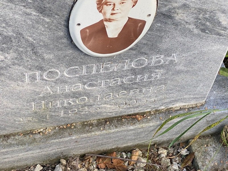 Поспелова Анастасия Николаевна