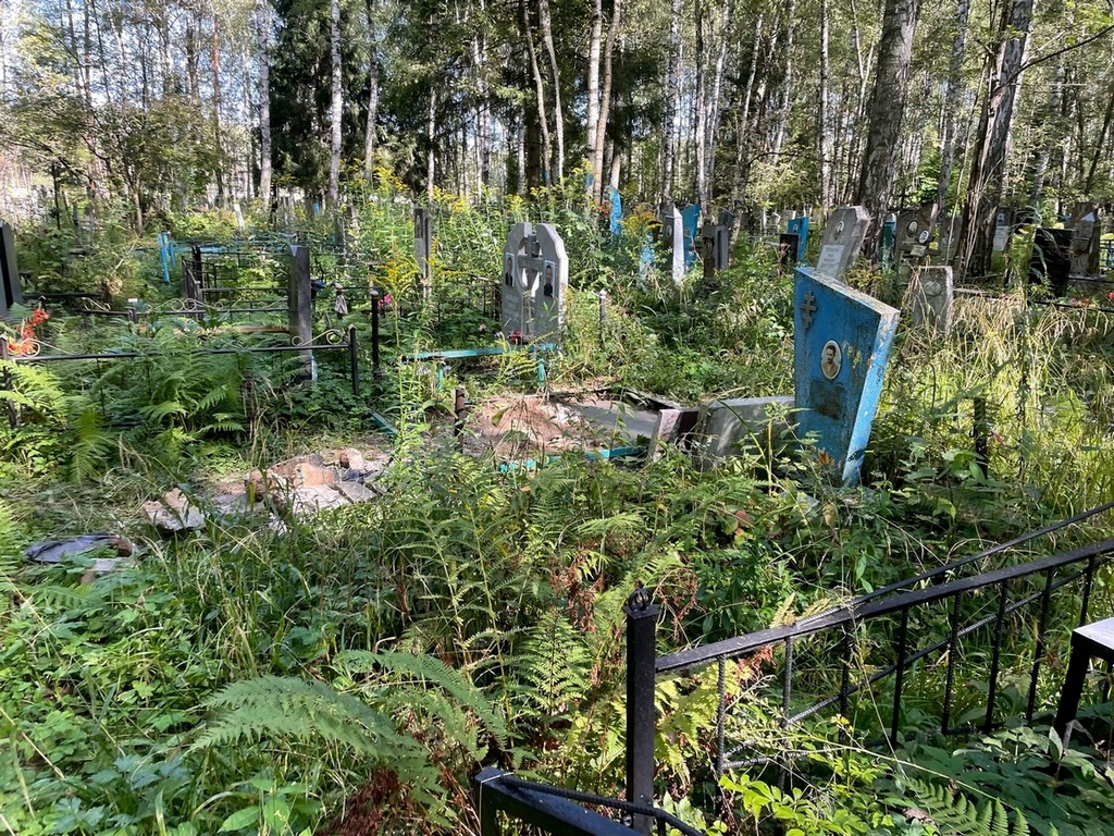 Шебелов Николай Яковлевич