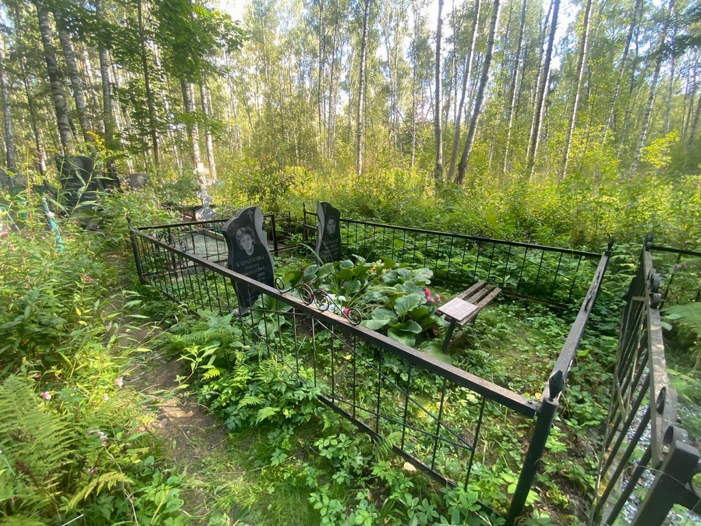 Карабасова Тамара Николаевна