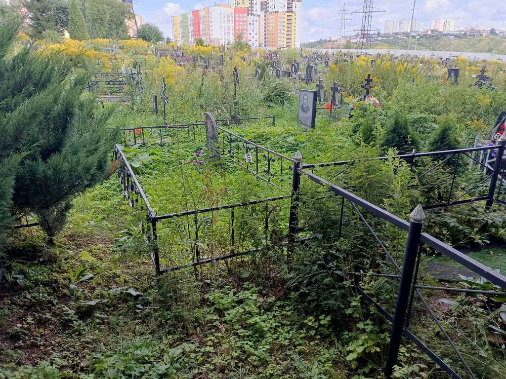 Минеев Владимир Константинович