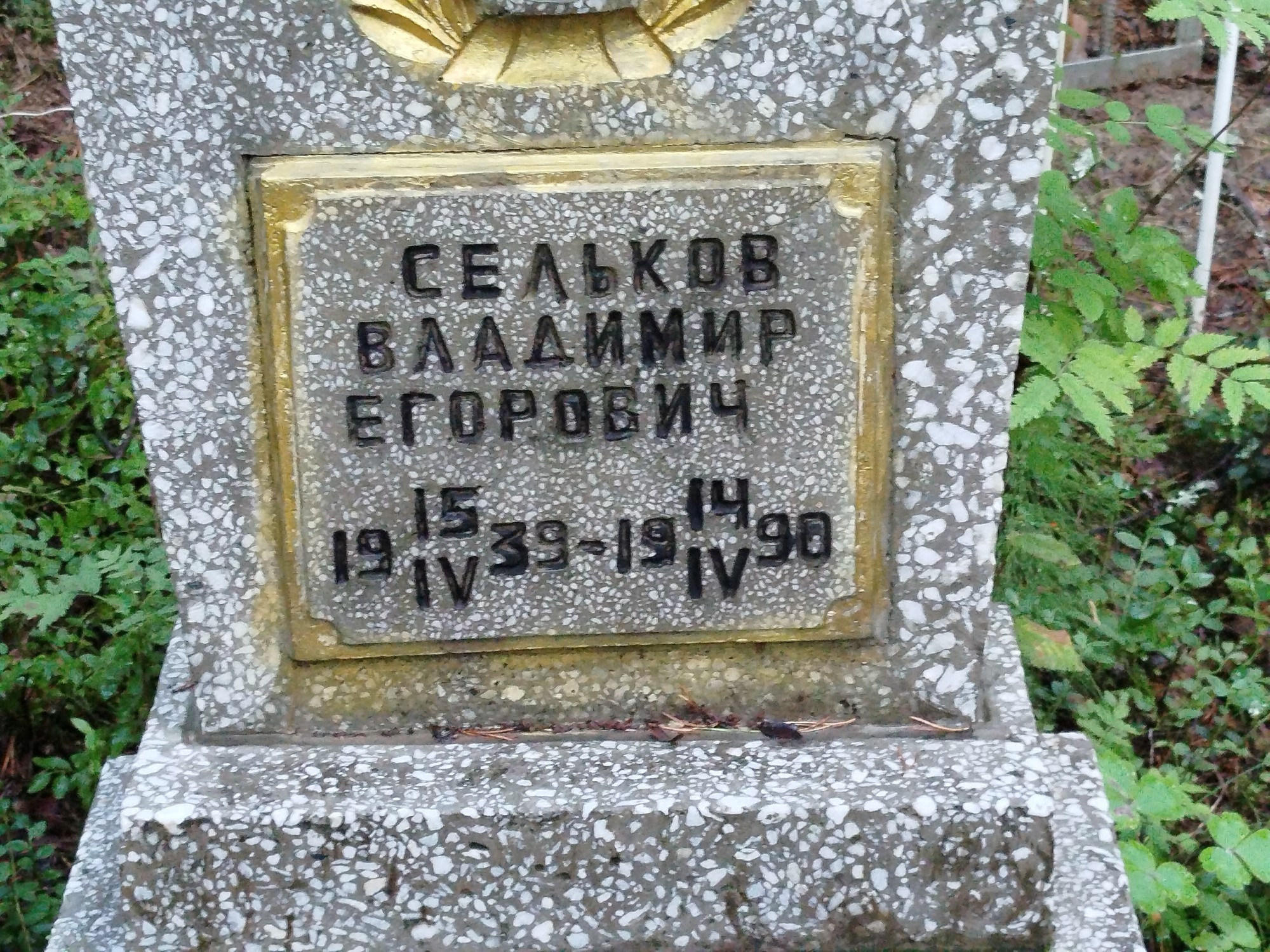 Сельков Владимир Егорович