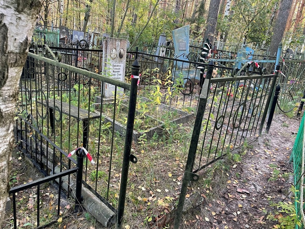 Павлин Геннадий Иванович