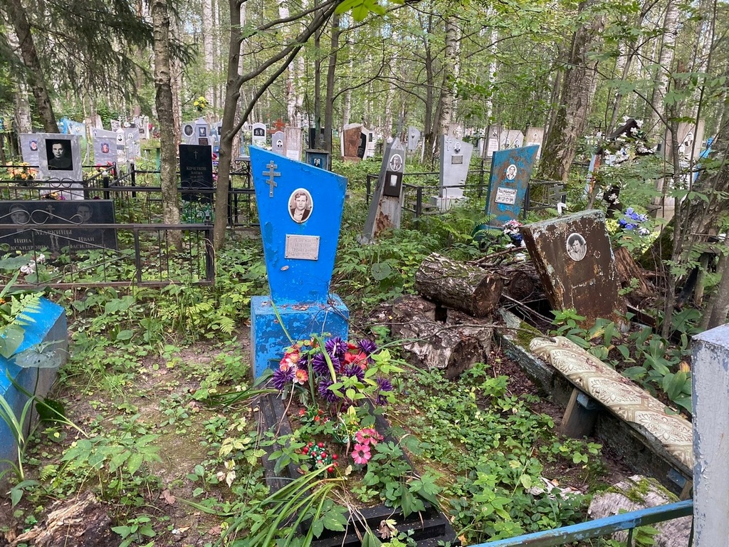Медвежов Александр Николаевич