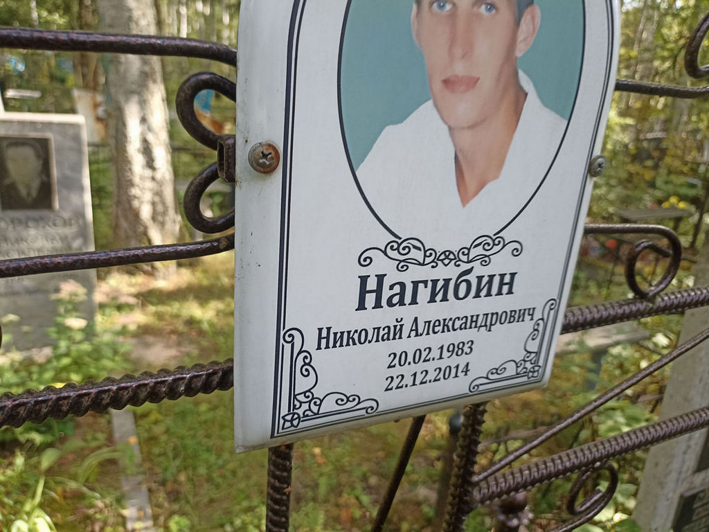 Нагибин Николай Александрович