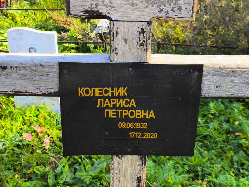 Колесник