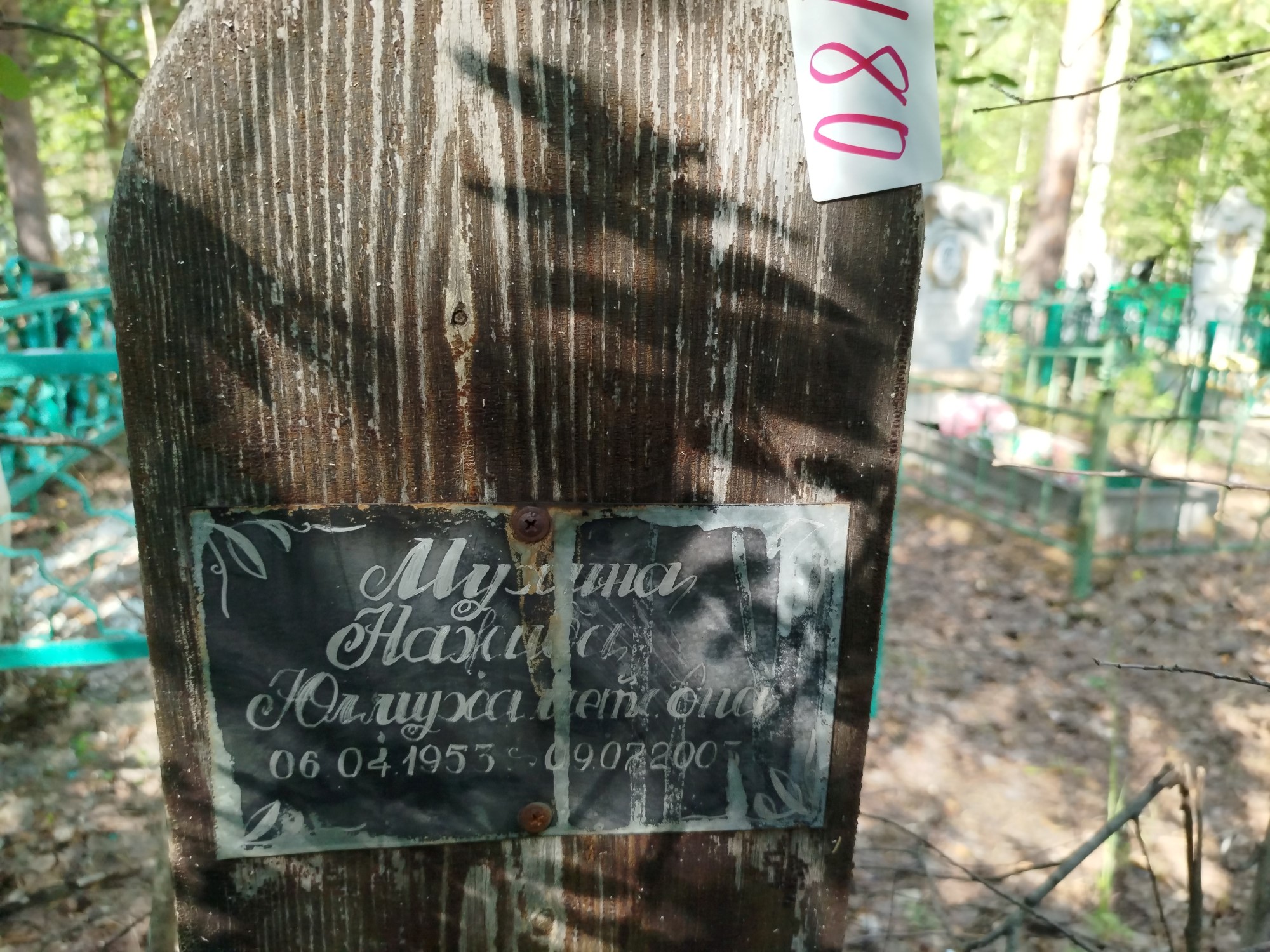Мухина Нажиба Юлмухаметовна